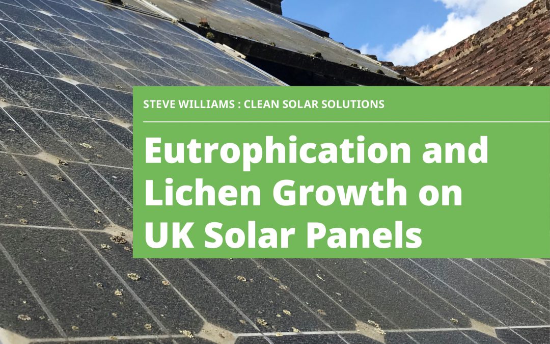 Why Does Lichen Grow On Solar Panels? – Research Released