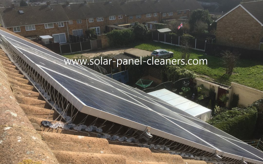 Solar Panels, Bird Protection, Proofing And Deterrents