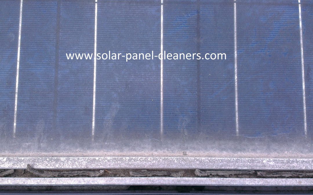 First Solar Panel Cleaning Job Completed In Bath For Solarsense UK Ltd