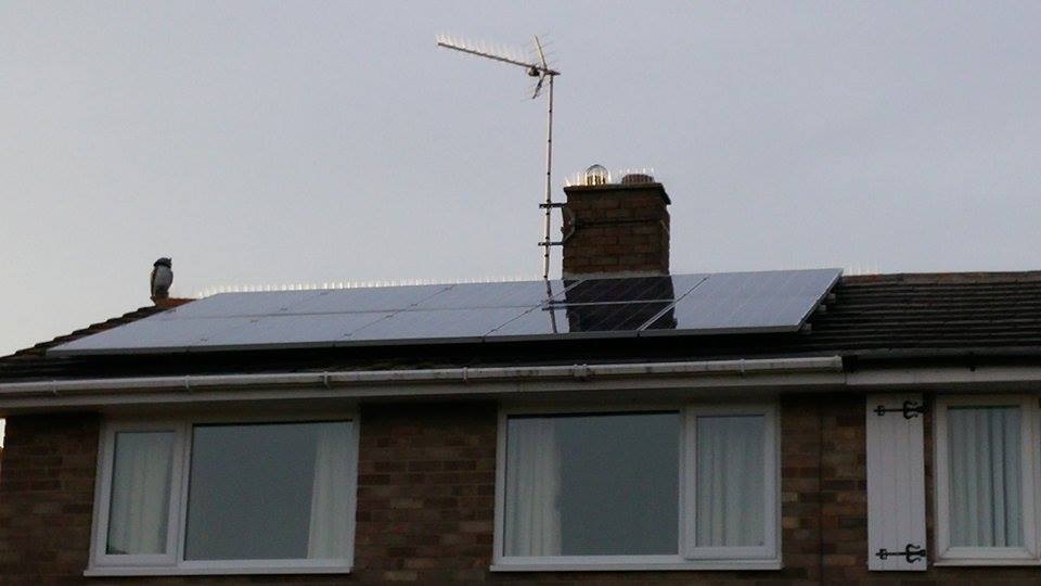 Solar Panel Cleaning And Bird Proofing On Fareham Home