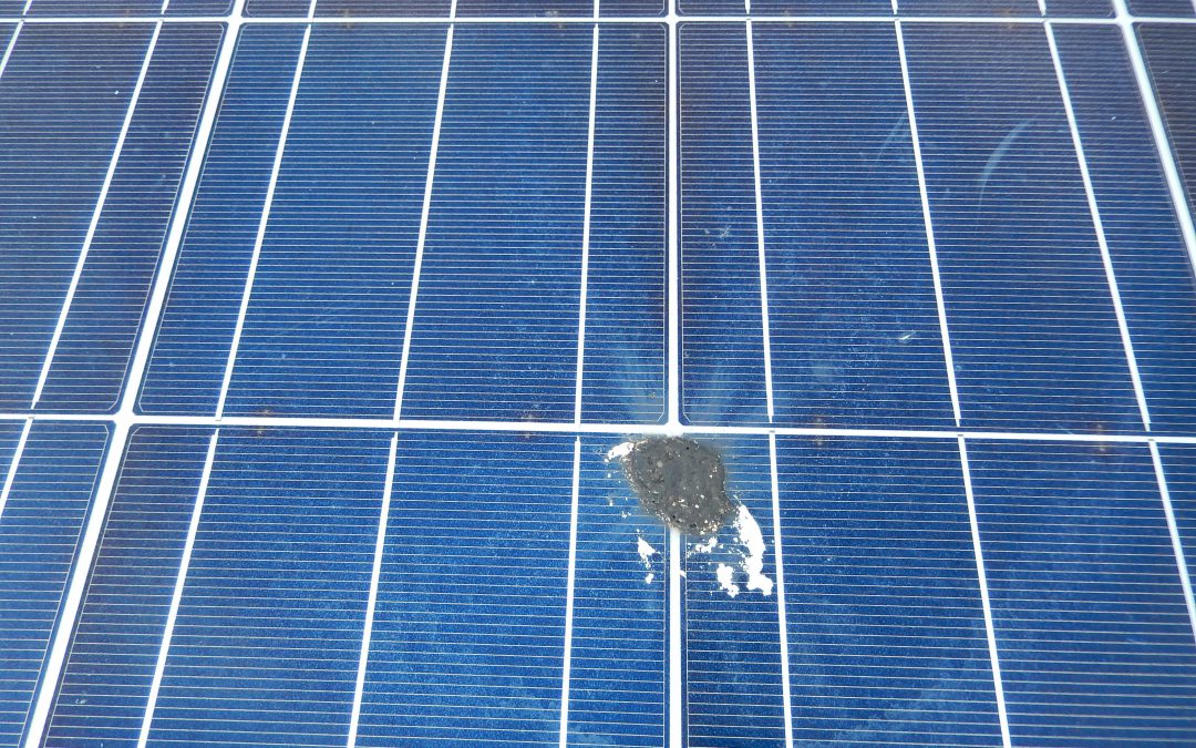Commercial Rooftop Solar Panel Cleaning Completed In Llanelli