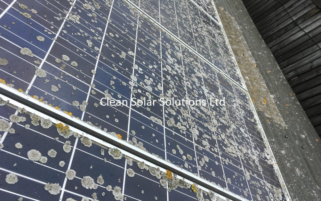 Solar Panel Cleaning Halesworth – Lichen Removal On A Farm