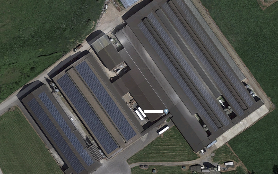 Solar Panel Cleaning On Yeovil Chicken Farm Gets Cracking Results