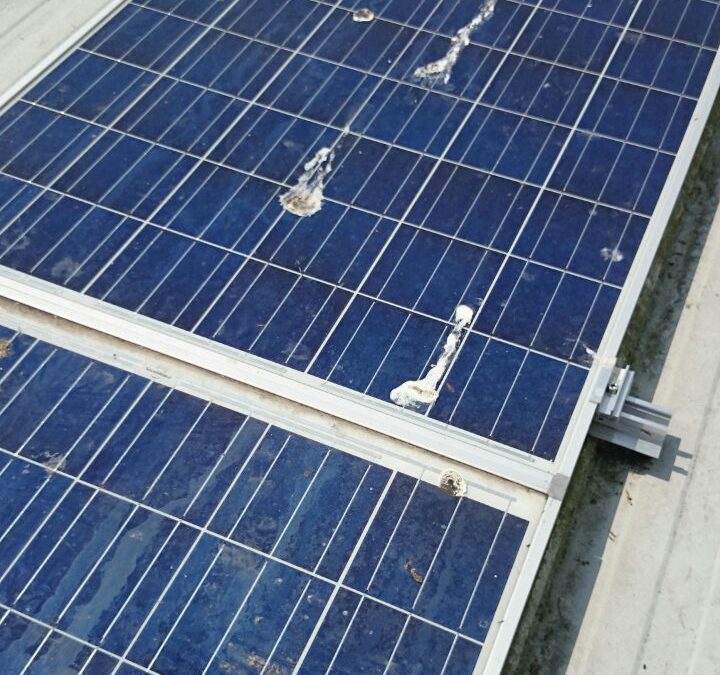 Commercial Solar Panel Cleaning In Eastbourne For Edventure
