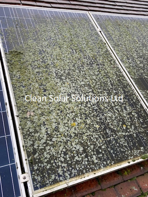 Solar panels that need cleaning Wembley