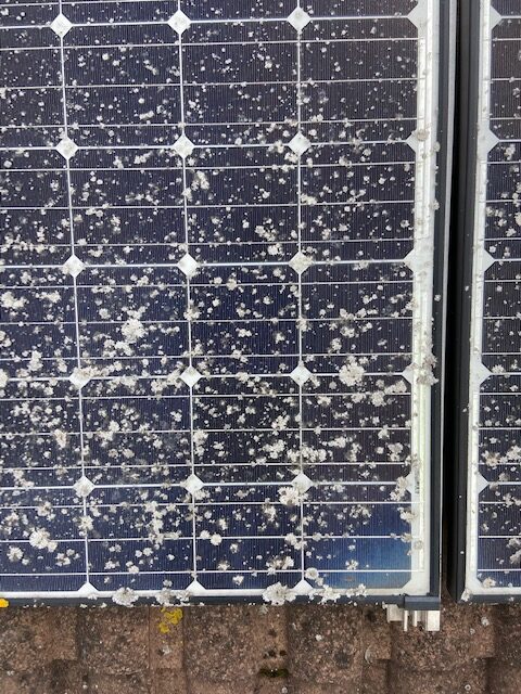 Solar panel cleaning in Gloucester and removing lichen