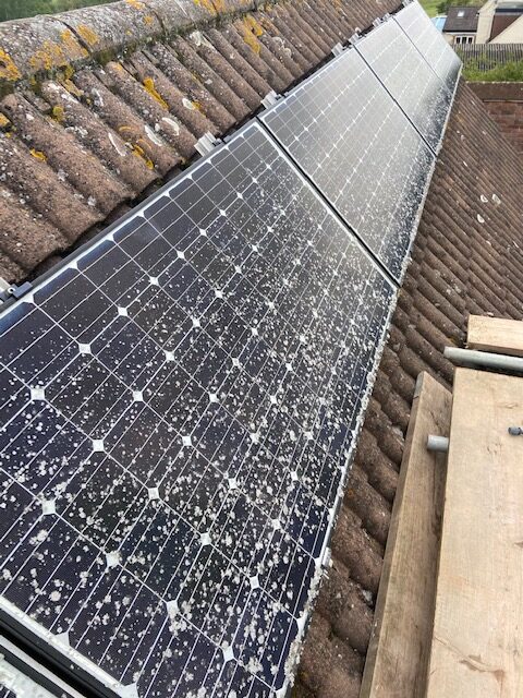 Lichen on Gloucester solar panels Solar panels that need cleaning in Gloucester