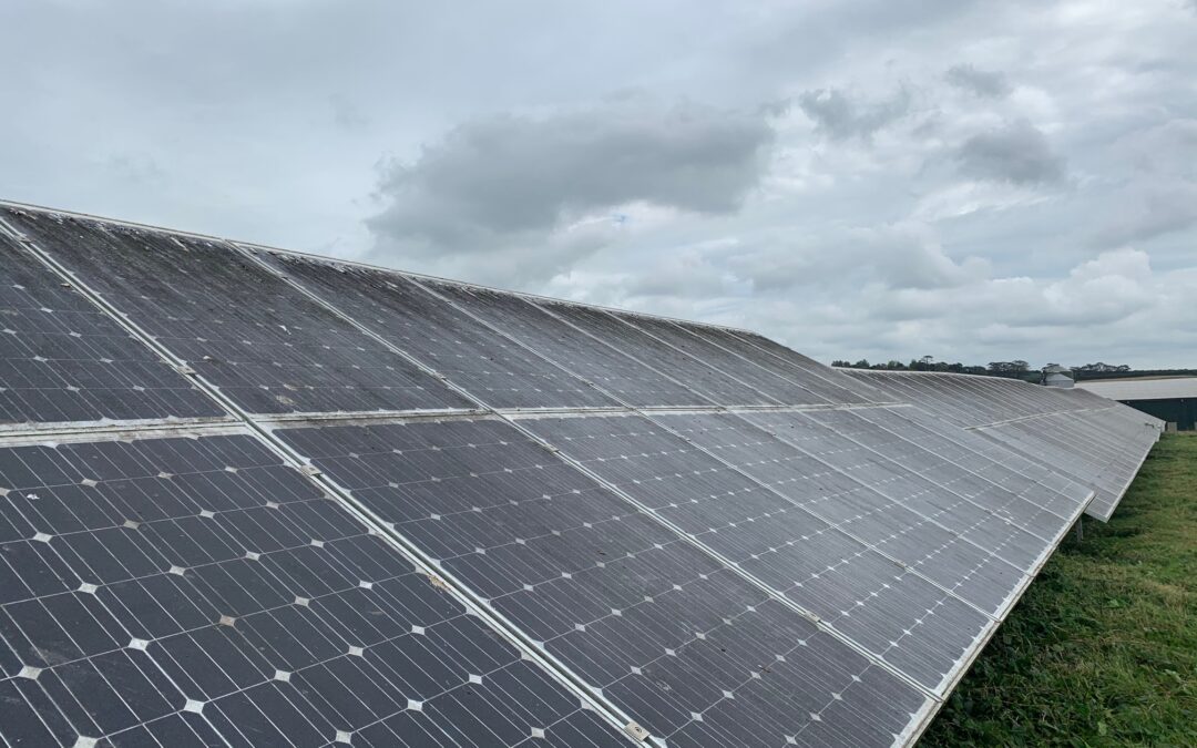 Solar Panel Cleaning & Grass Cutting Wadebridge Solar Farm