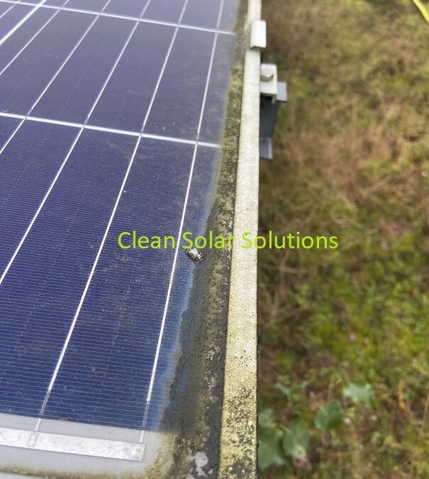 Ground & Roof Mounted Solar Panel Cleaning At Worksop