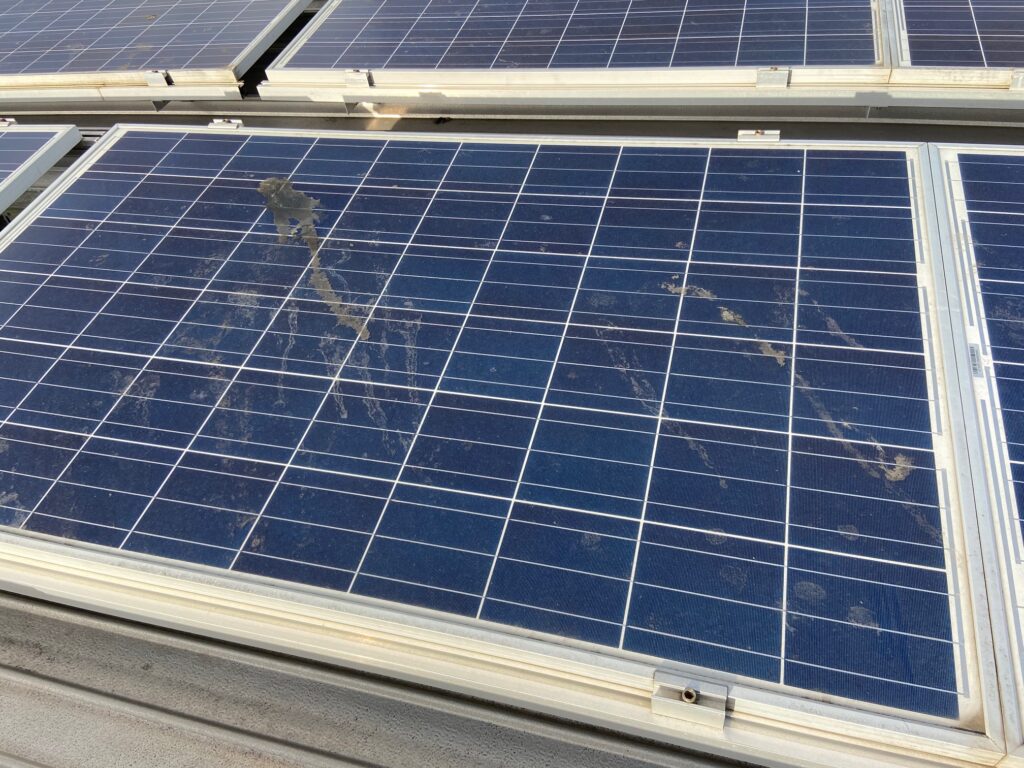 Bird droppings on solar panels