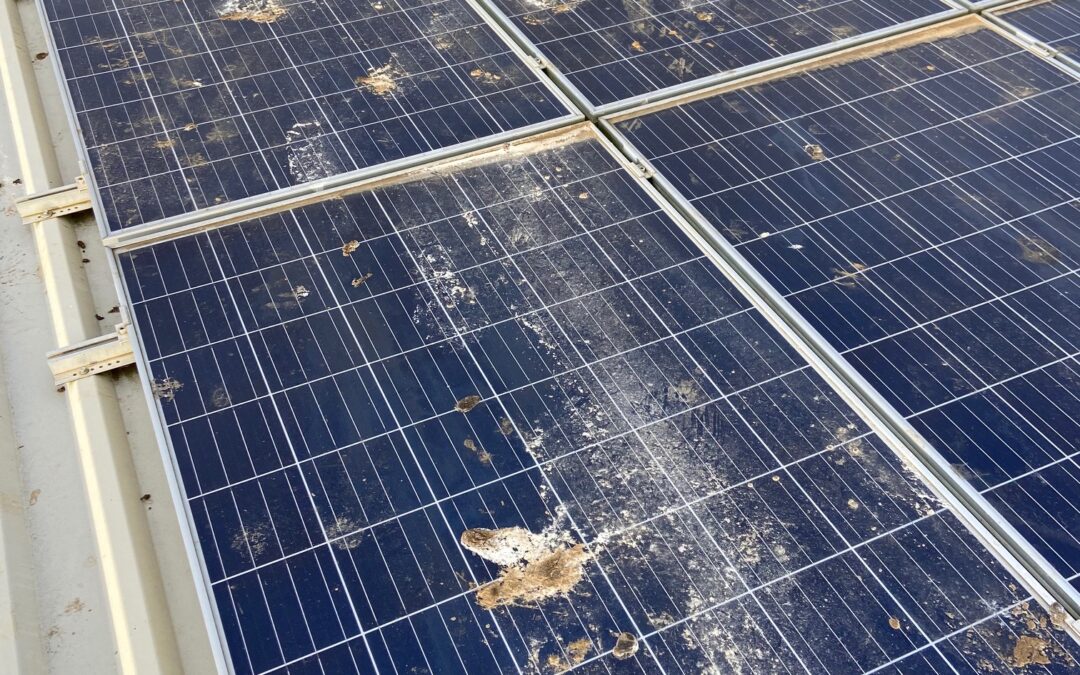 Solar Panel Cleaning in Doncaster – These Panels Are Simply Ditched!