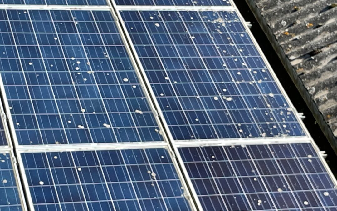 Solar Panel Cleaning On Fordingbridge Farm Completed